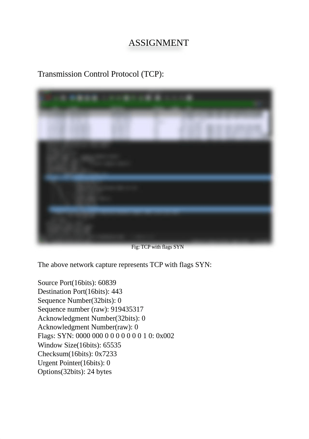 Assignment-1.docx_dkdw1y5u71t_page1