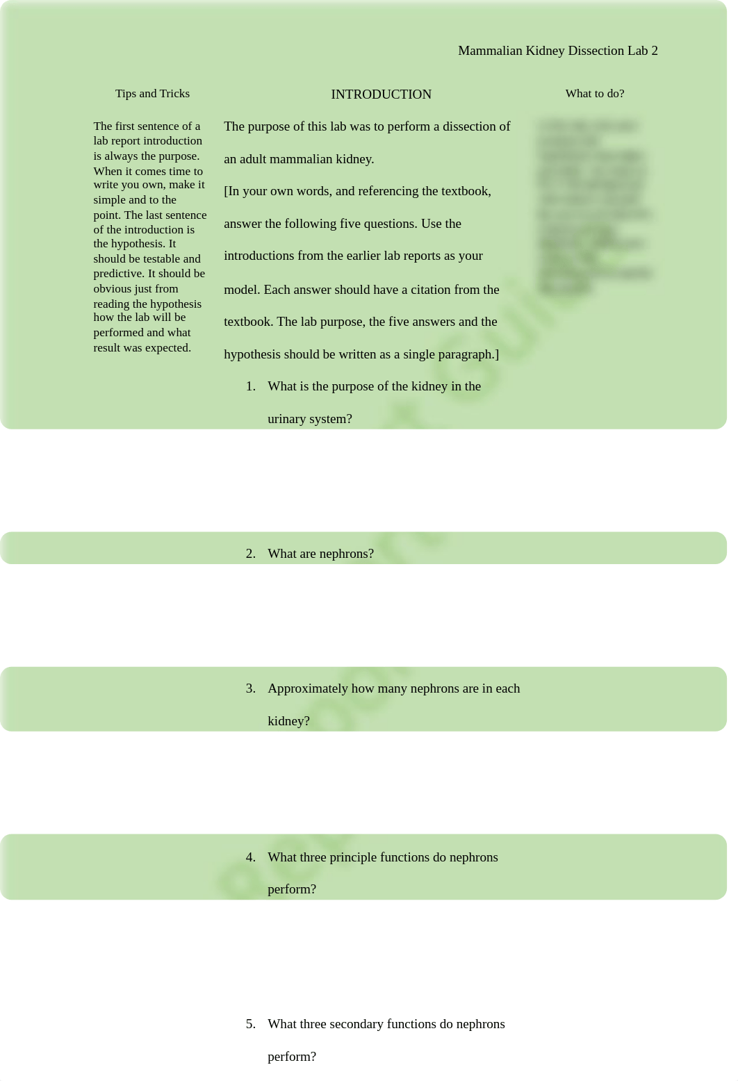 BIO 200 Lab 8 Report Guide Mammalian Kidney Dissection.pdf_dke29rv39qp_page2