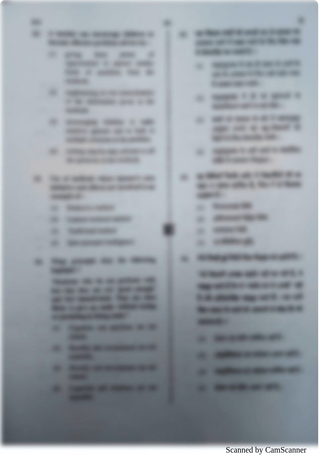 ctet-paper-1-pdf-39.pdf_dkefs013hnk_page4