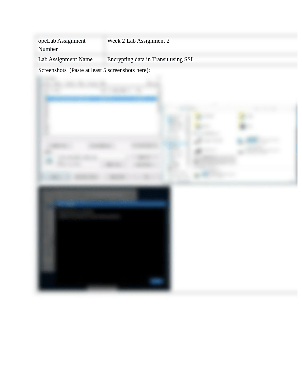 Wk2 Lab Assignment 2_Encypting data in Transit.docx_dkegjwvakno_page1