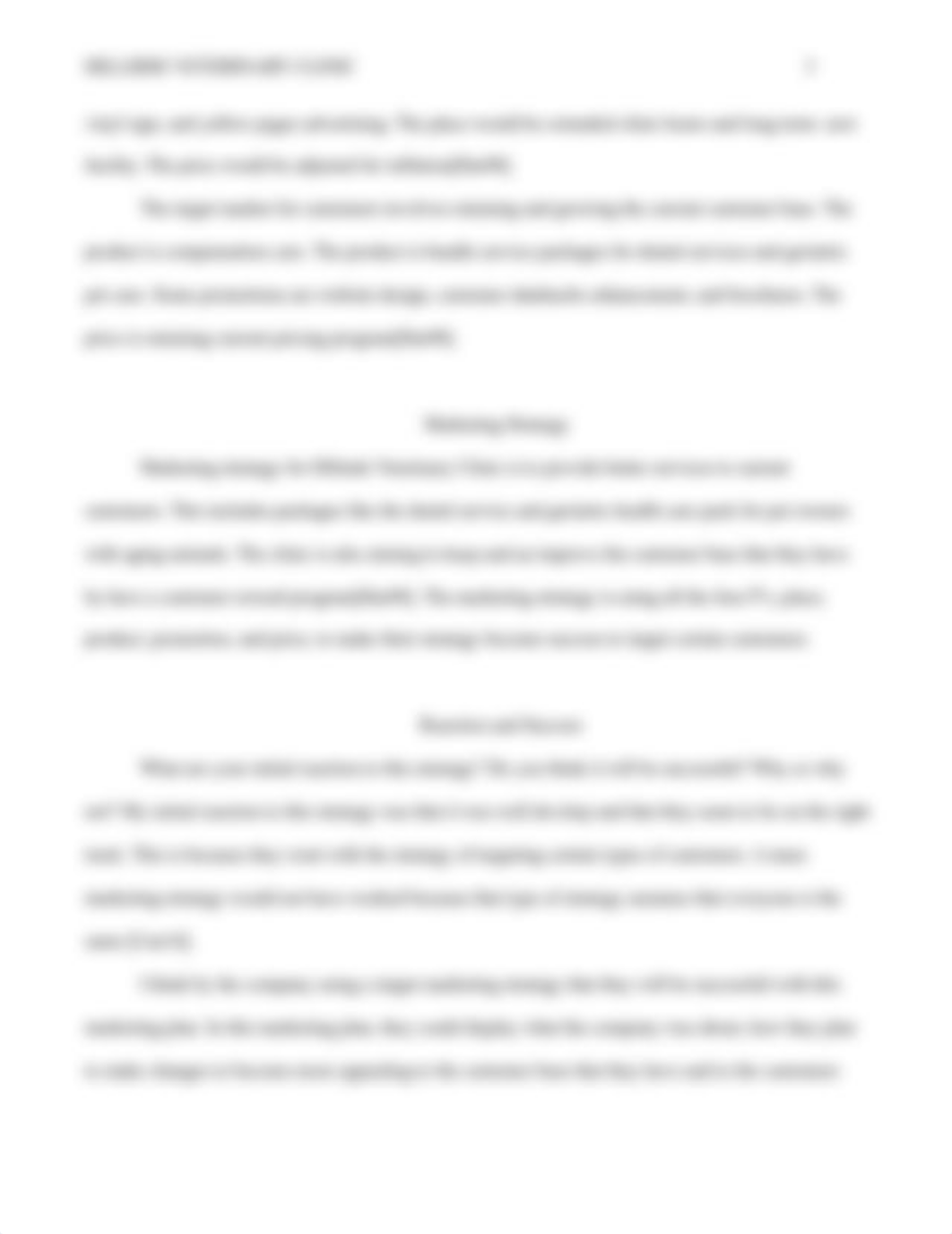 Hillside Veterinary Clinic Marketing Plan Evaluation_dkej1kqiolv_page3