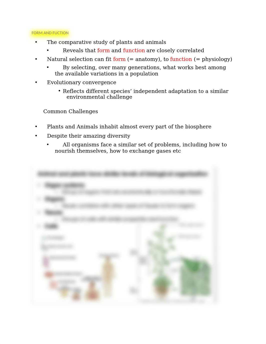 BIO 115 NOTES EXAM 1.docx_dkend7mo2n7_page1