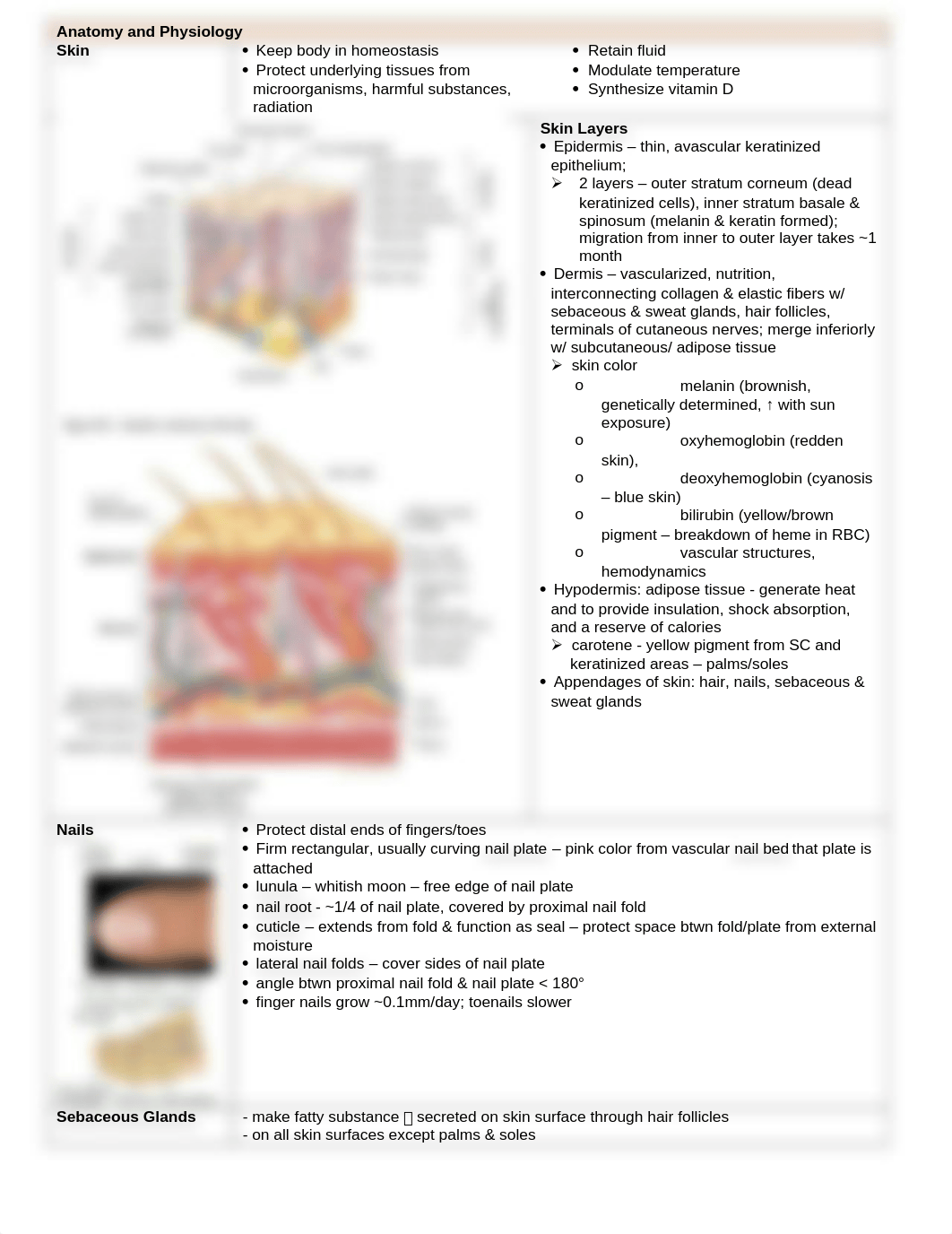 NSG625_Notes_3_Skin, Hair, & Nails.docx_dkert4ti77y_page2