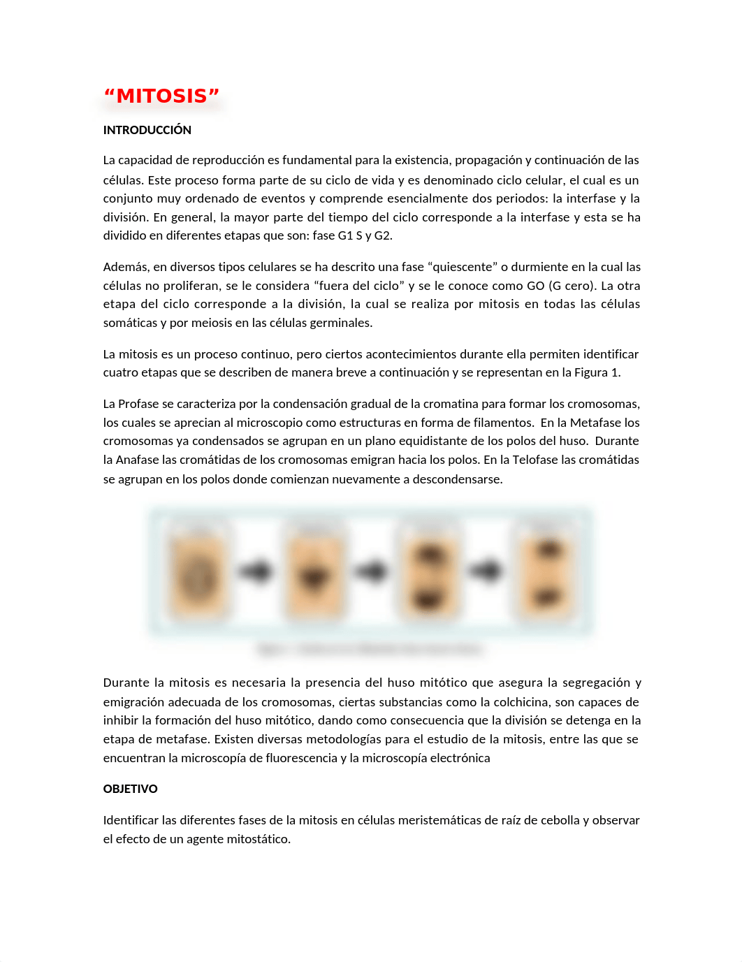 Práctica 4.docx_dkesjlmc0pf_page1