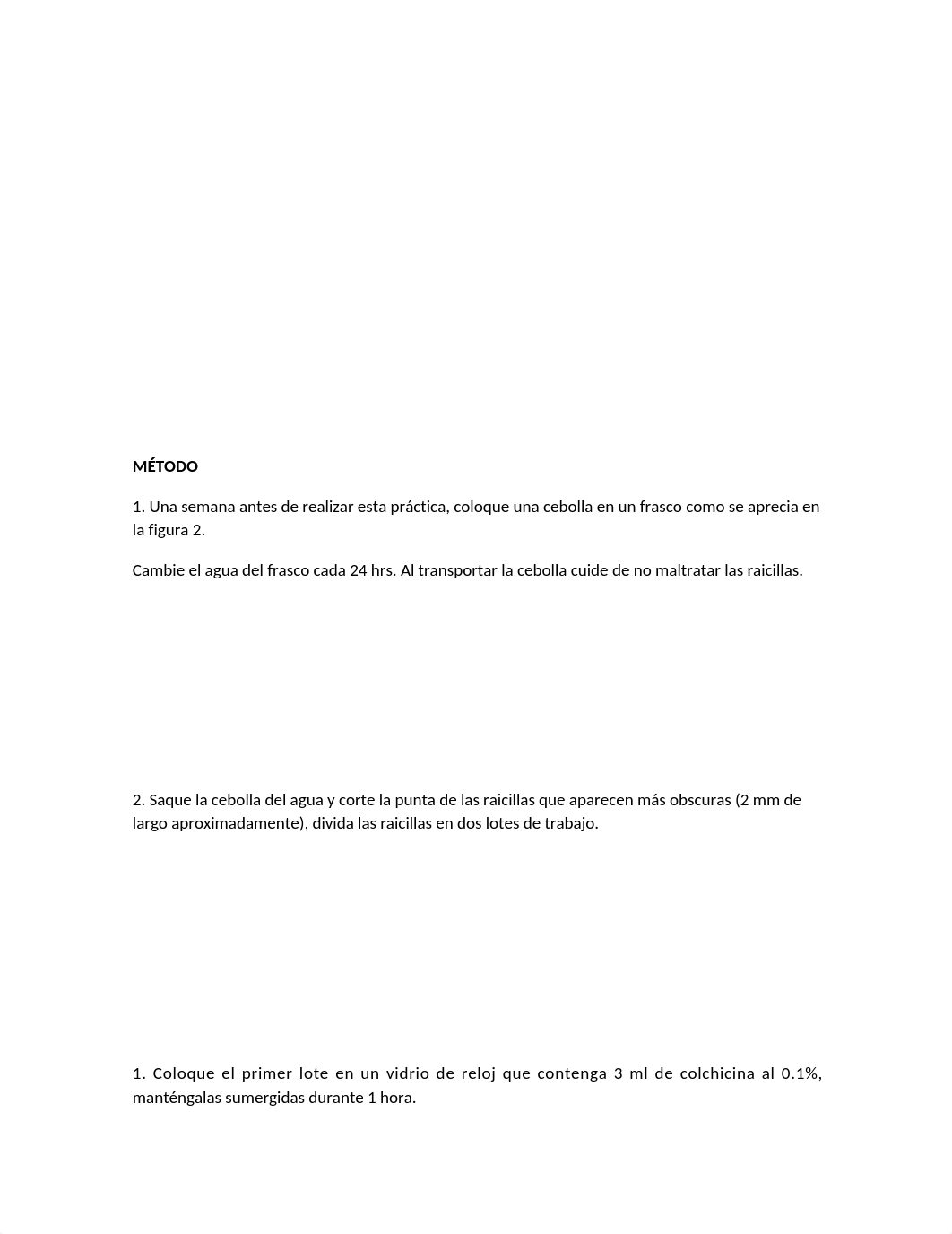 Práctica 4.docx_dkesjlmc0pf_page2