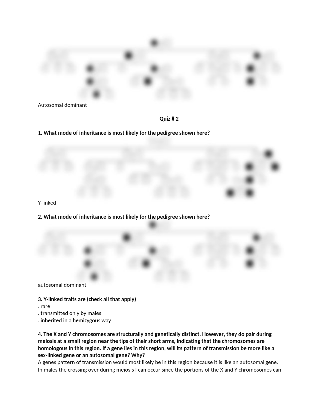 Study Quiz Questions.docx_dkeu2fhrdmx_page3