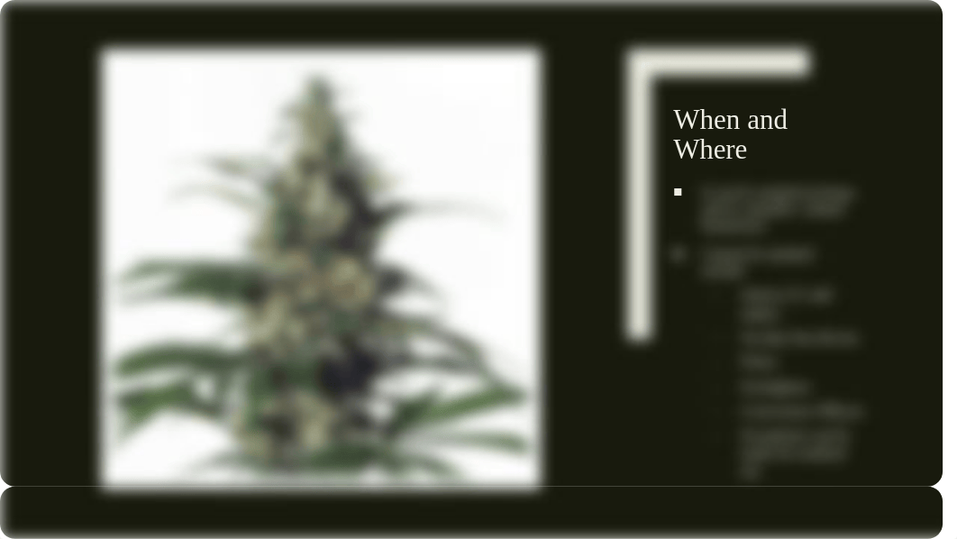 Legalization of Marijuana PowerPoint .pptx_dkeud7li3hu_page4