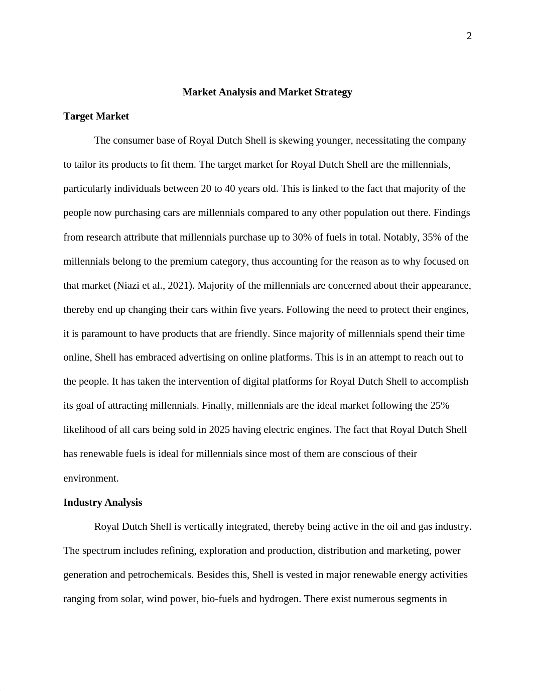 Market Analysis and Market Strategy.docx_dkeuqahiebl_page2