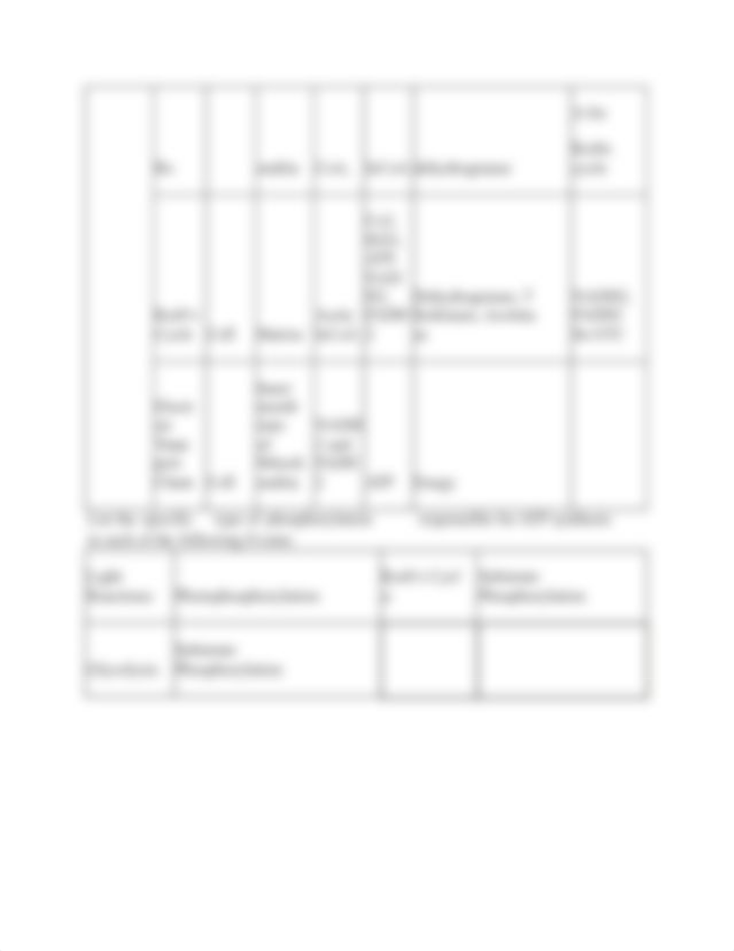 Metabolic Process.docx_dkew0t6m70l_page2