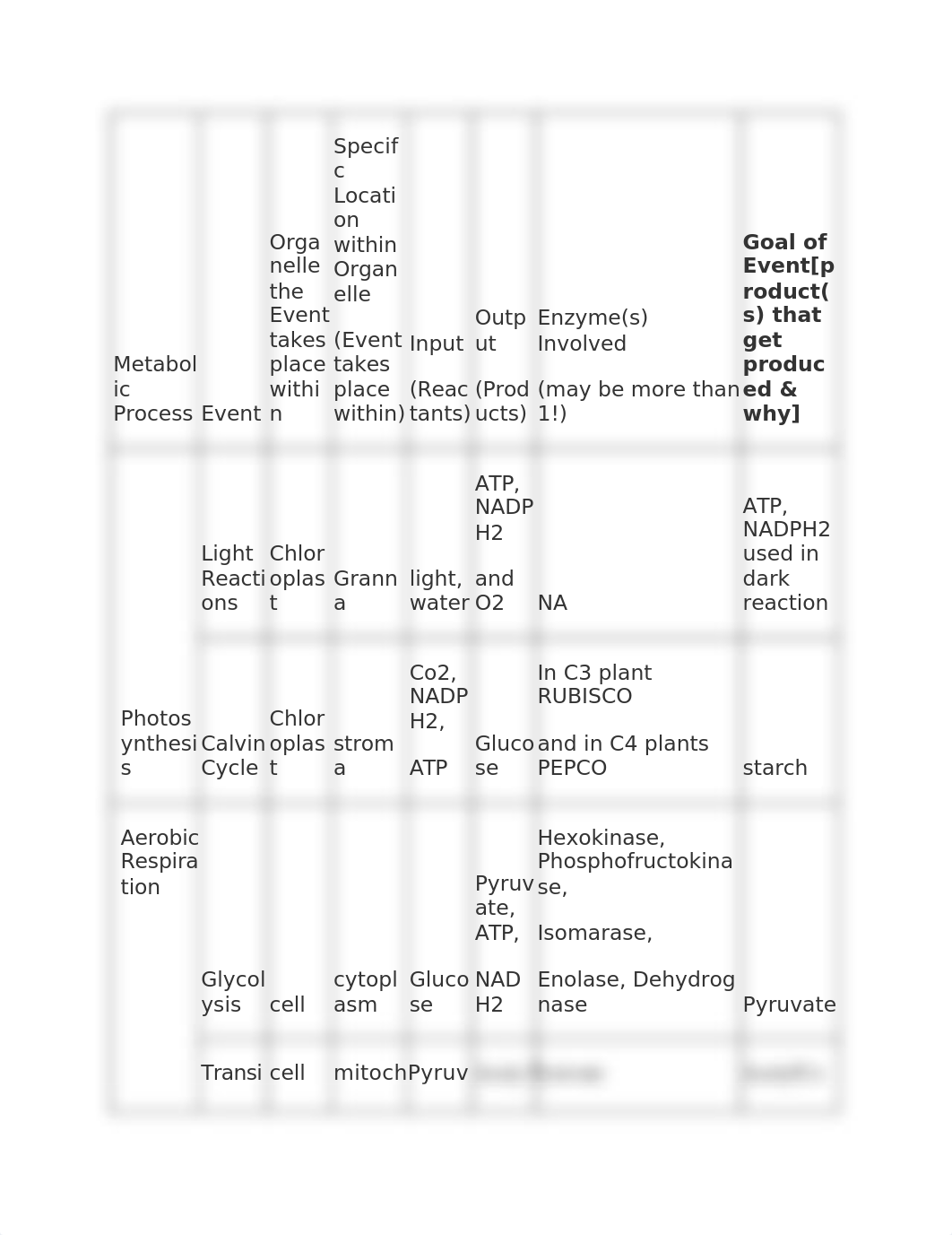 Metabolic Process.docx_dkew0t6m70l_page1