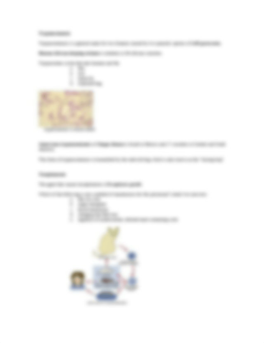 Lab - parasitic protozoa and helminthes_dkeyqvc6iqt_page3