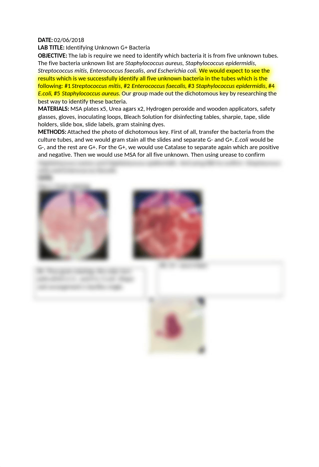 Lab unknow G+.docx_dkez52ofvyb_page1