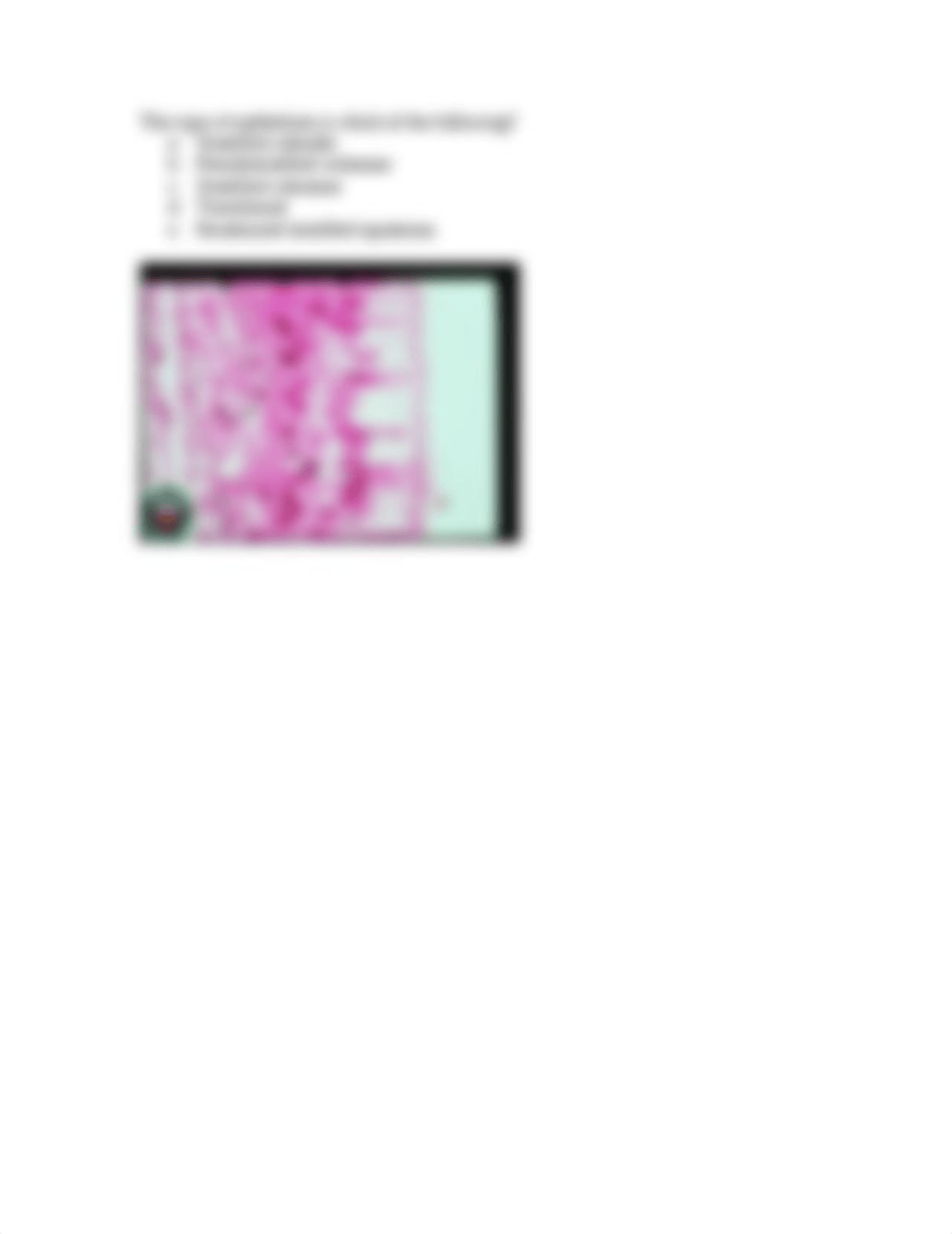 Quiz-epitheliumandglands_dkf5pxorz7a_page3