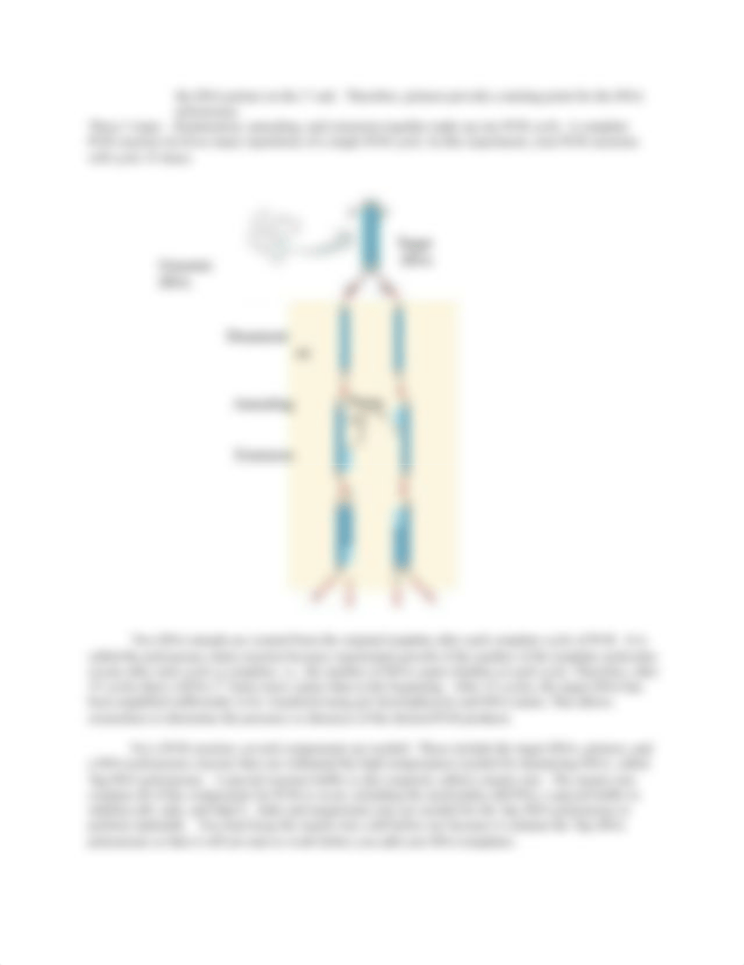 PCR and Gel Electrophoresis Lab.docx_dkf79osf6u7_page2