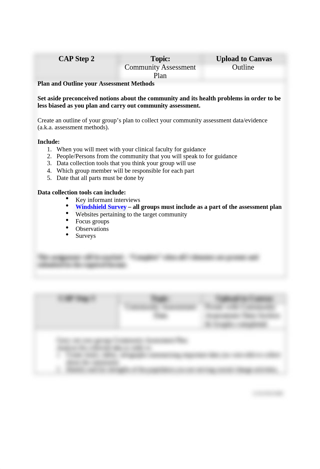 Spring 2021 CAP Instructions.doc_dkf87iqxsd5_page2