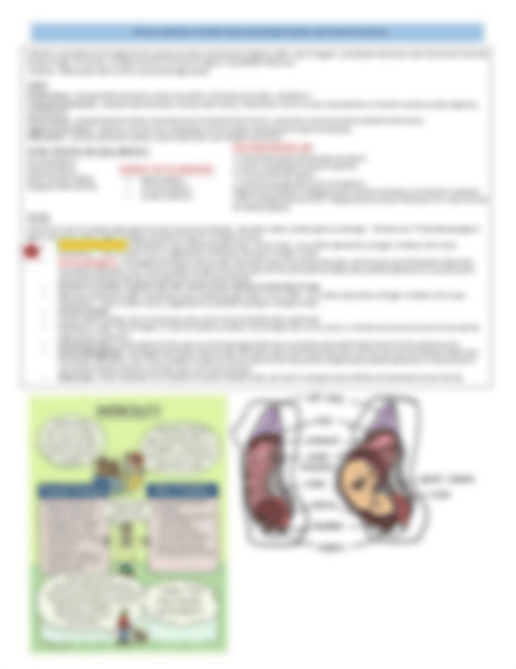 Module 1 Exam Blueprint.pdf_dkfat97i7iw_page2