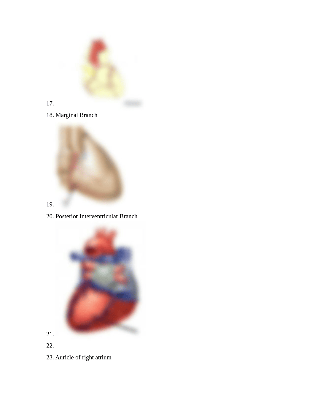 LAB PRACTICAL 3- CARDIOVASCULAR.docx_dkfcwv60282_page3