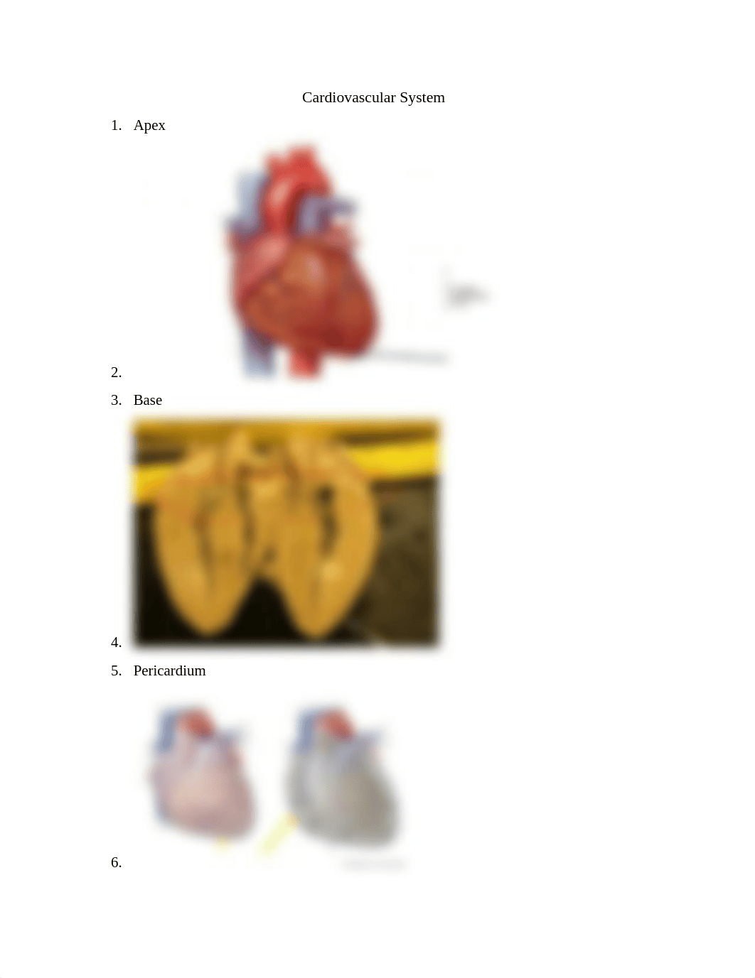 LAB PRACTICAL 3- CARDIOVASCULAR.docx_dkfcwv60282_page1