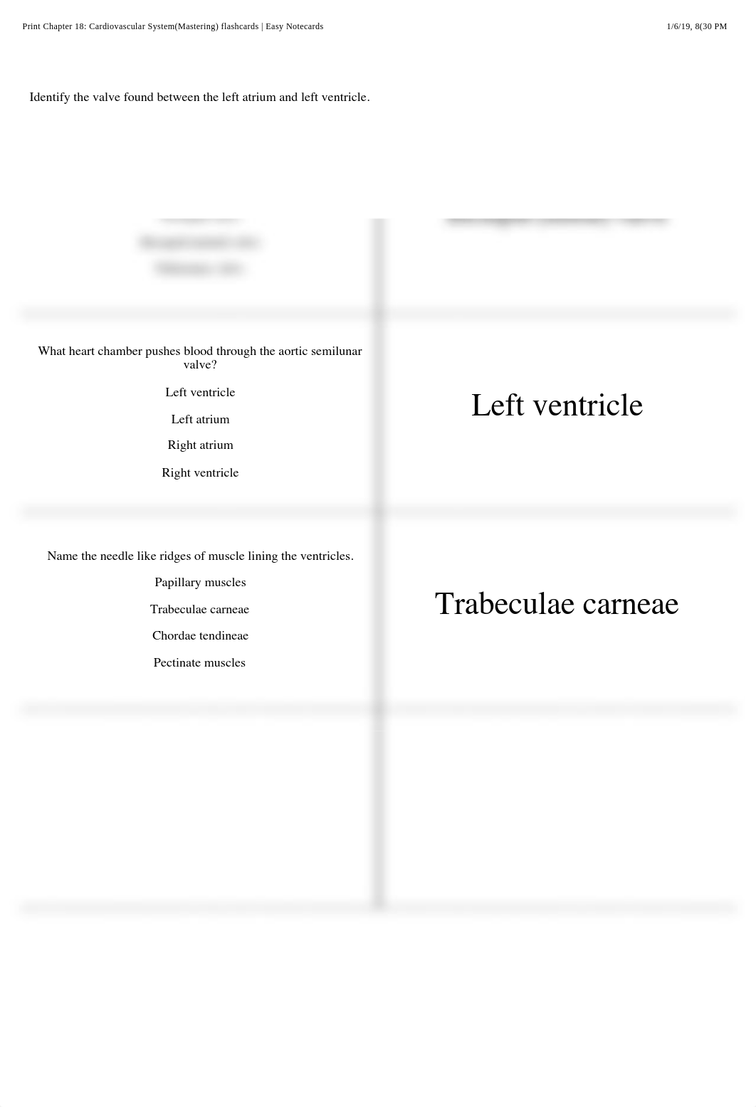 Print Chapter 18: Cardiovascular System(Mastering) flashcards | Easy Notecards.pdf_dkfdqz5cm0h_page3