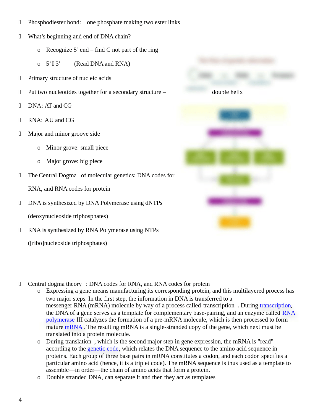 Molecular Genetics Exam I_dkfkfwvmsda_page4