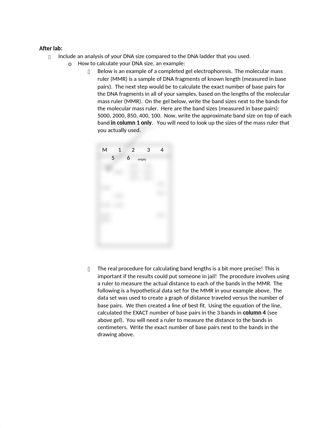 Pre-Lab 5 Checking DNA Quality.doc_dkfnjml9kgq_page2