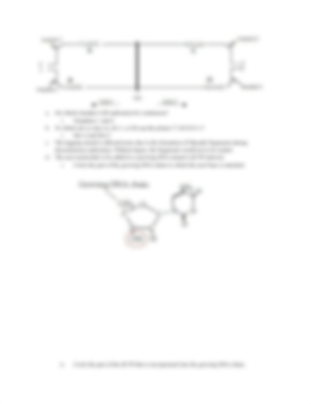 Chapter 12_ Problem Set #1.docx_dkfpoyn84pa_page3