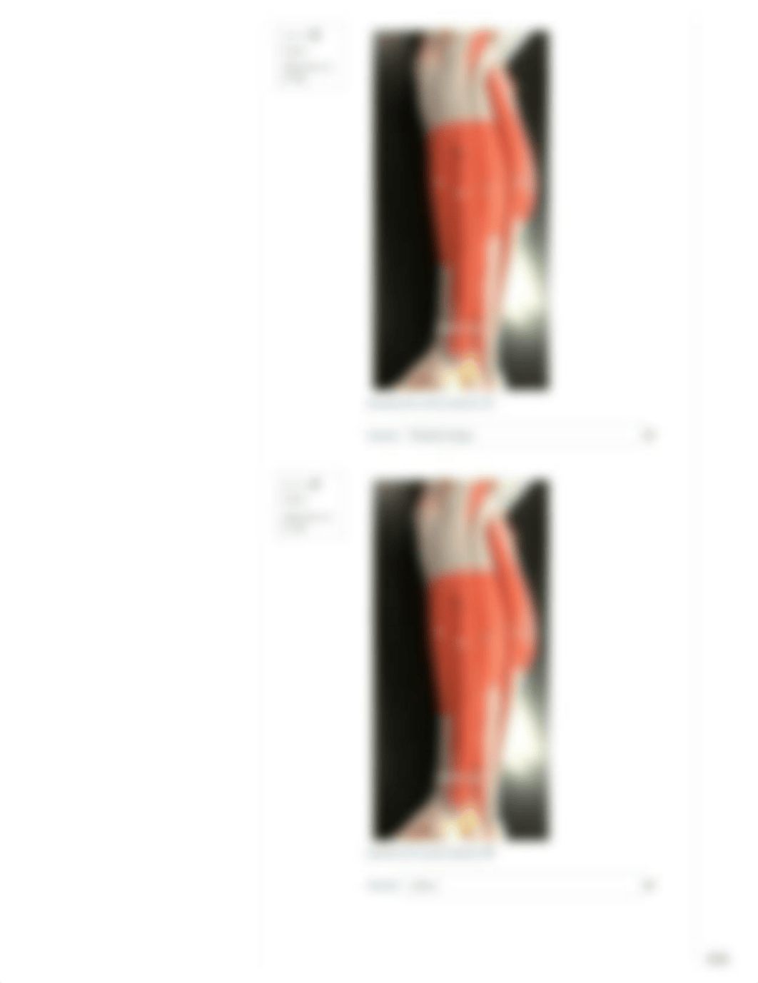 Leg Quiz[4268].pdf_dkfpu2wwzfc_page5