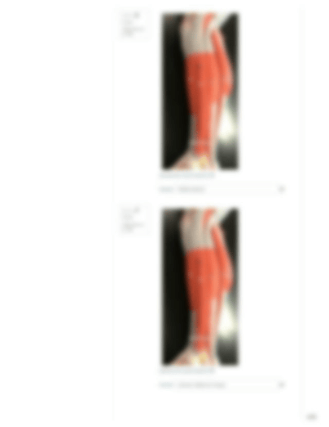 Leg Quiz[4268].pdf_dkfpu2wwzfc_page4