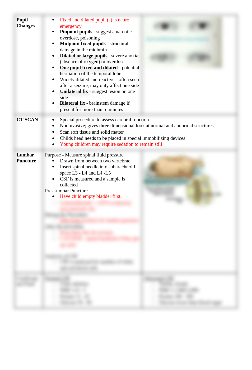 Peds - Final Exam Blueprint (By H).docx_dkfqt2xnyws_page2