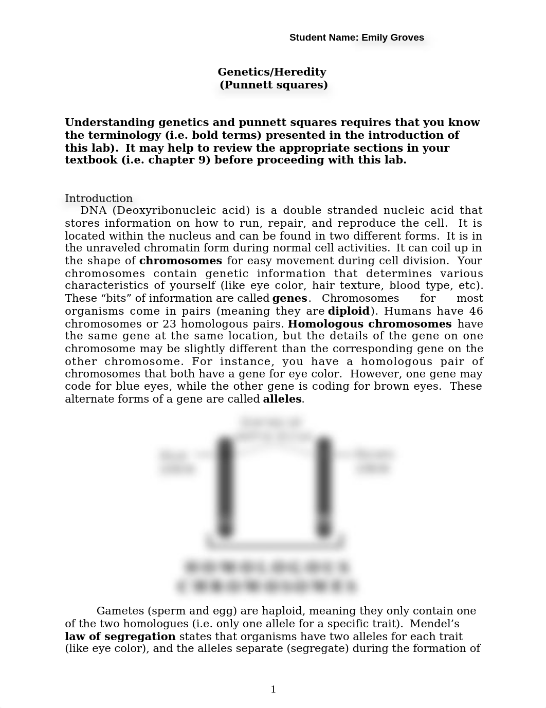 Genetics Lab EGROVES_dkg1bxzmljj_page1