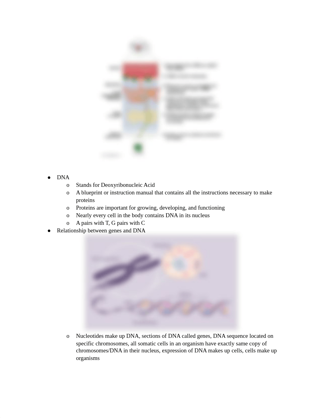 Human Biotechnology Final Review.pdf_dkg3ha7tf2r_page2