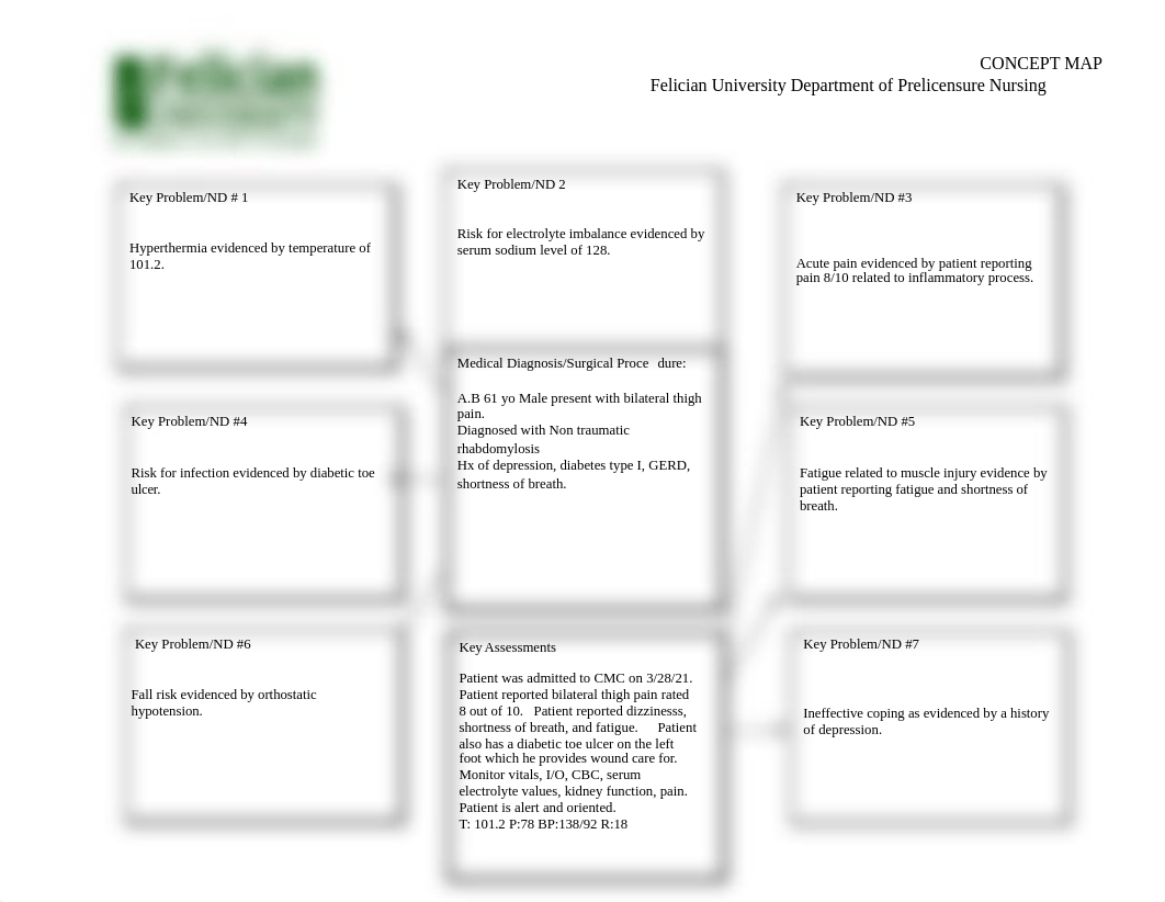 NURS 355 Concept Map 2.docx_dkgemlbz3g0_page1