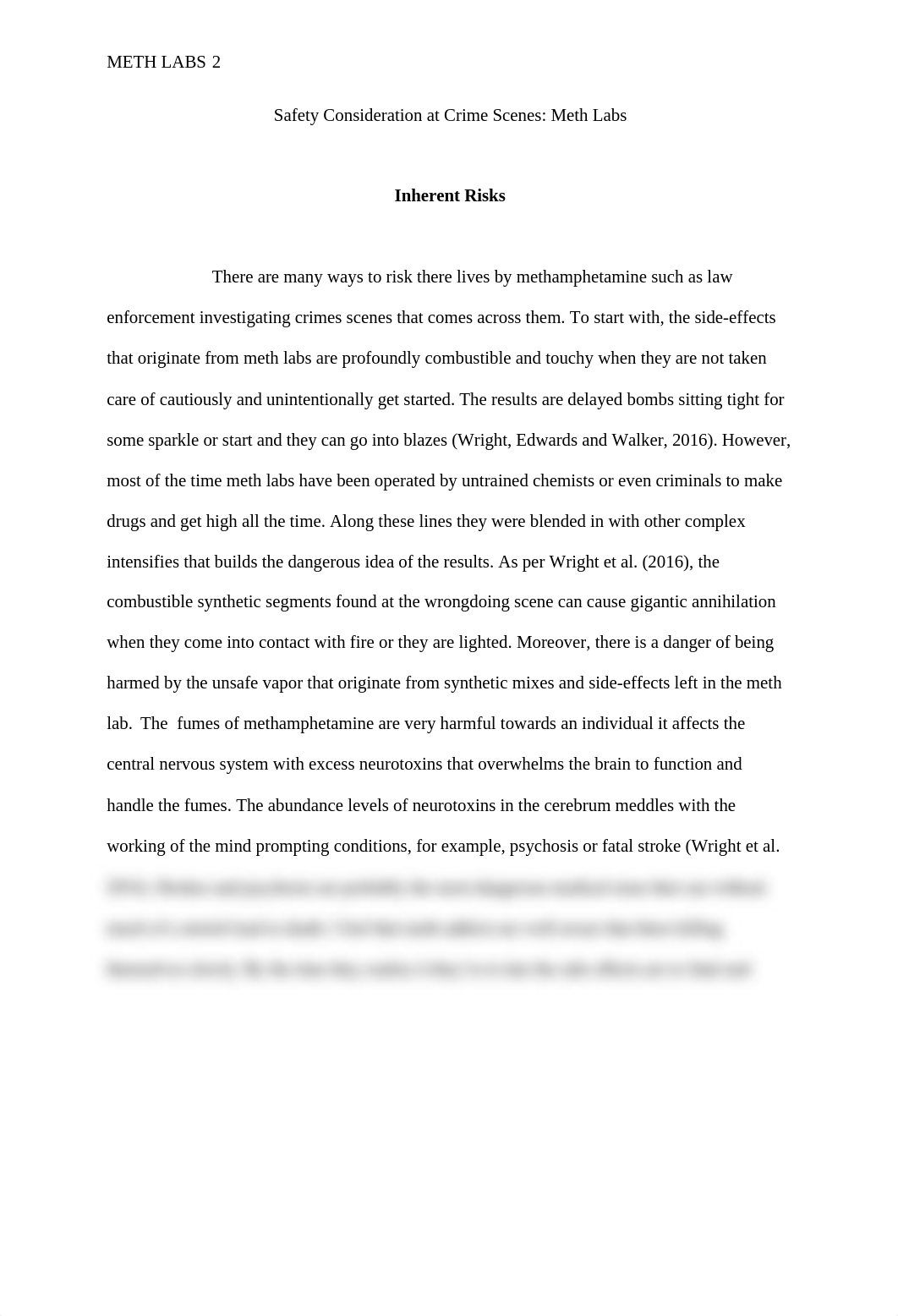 meth lab.docx_dkgrqstrizr_page2