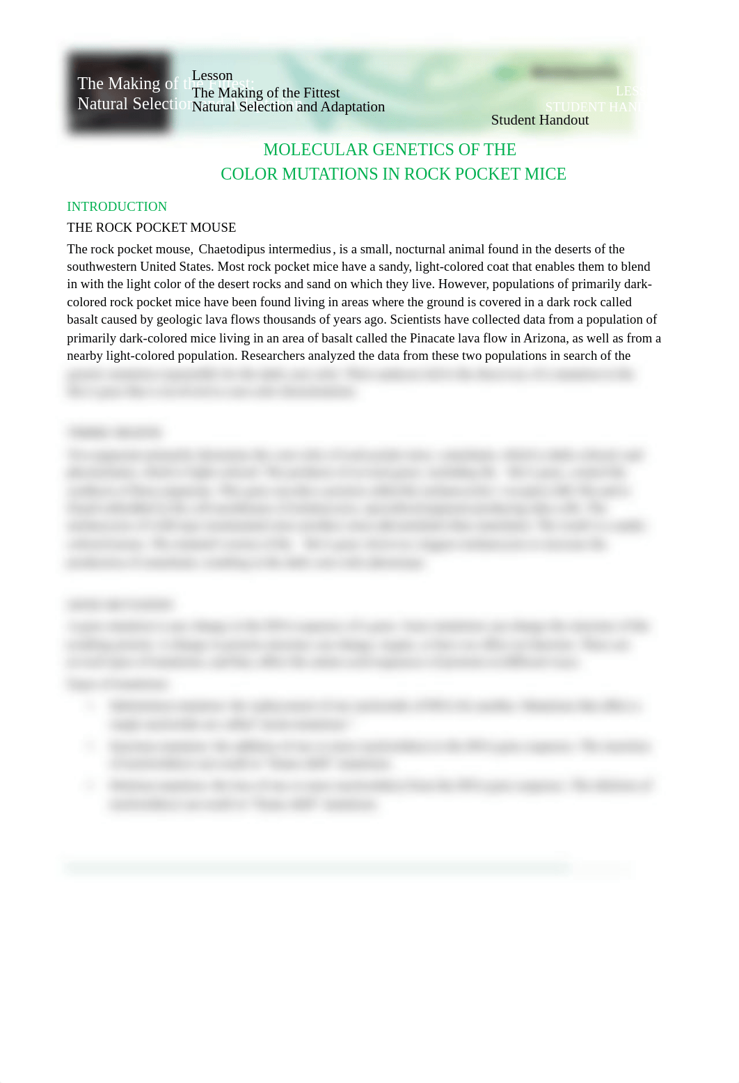 Mouse-Molecular-Genetics-Student-Activity_FA17_post to BB ahead of time.pdf_dkgsgwx74mn_page1