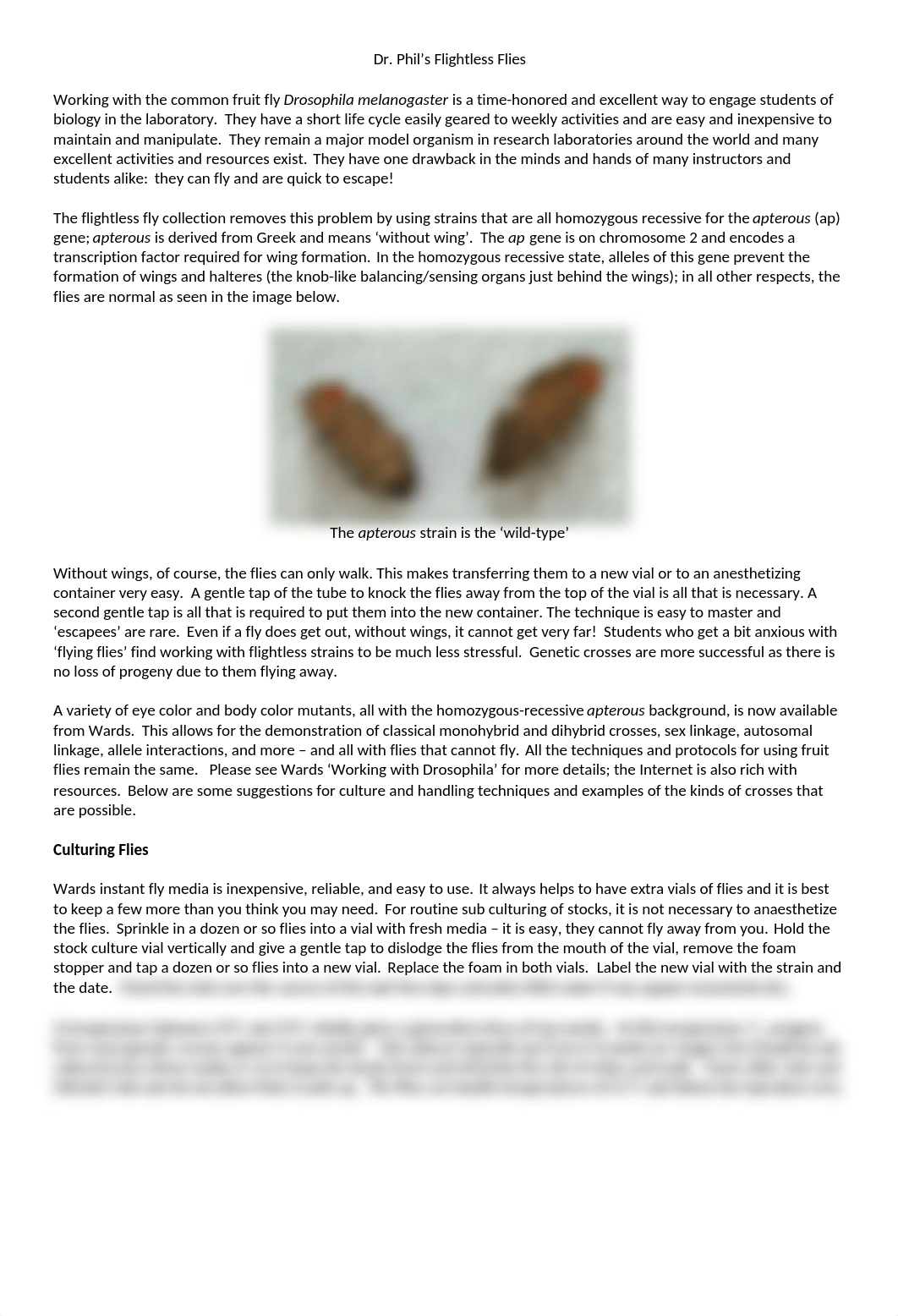 Dr Phils Flightless Flies - preliminary(1).docx_dkgv5jby5ad_page1