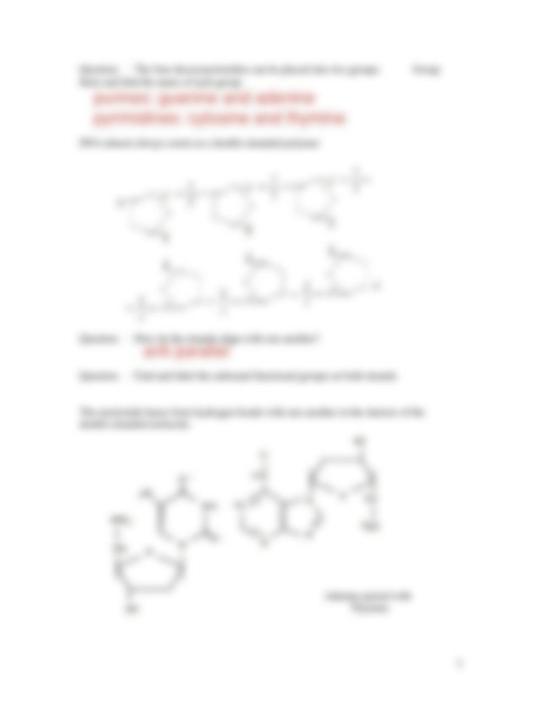 03b - study guide - Nucleic Acid_dkgvw1tg7jt_page3