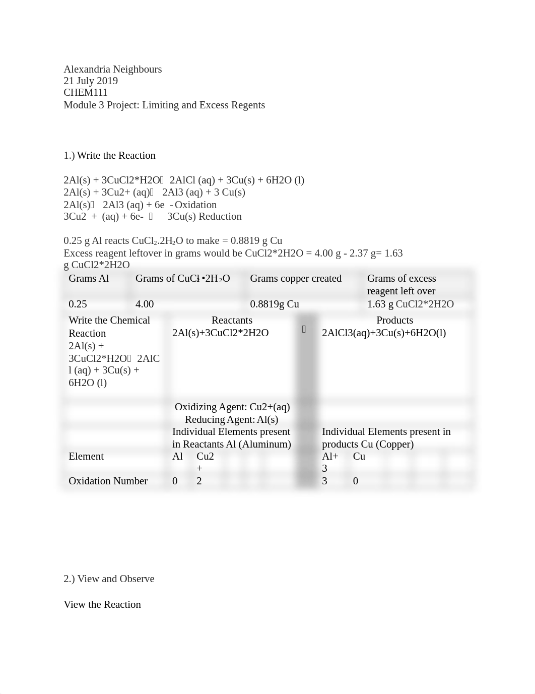 proj3chem111sum.docx_dkgx1xun7d5_page1