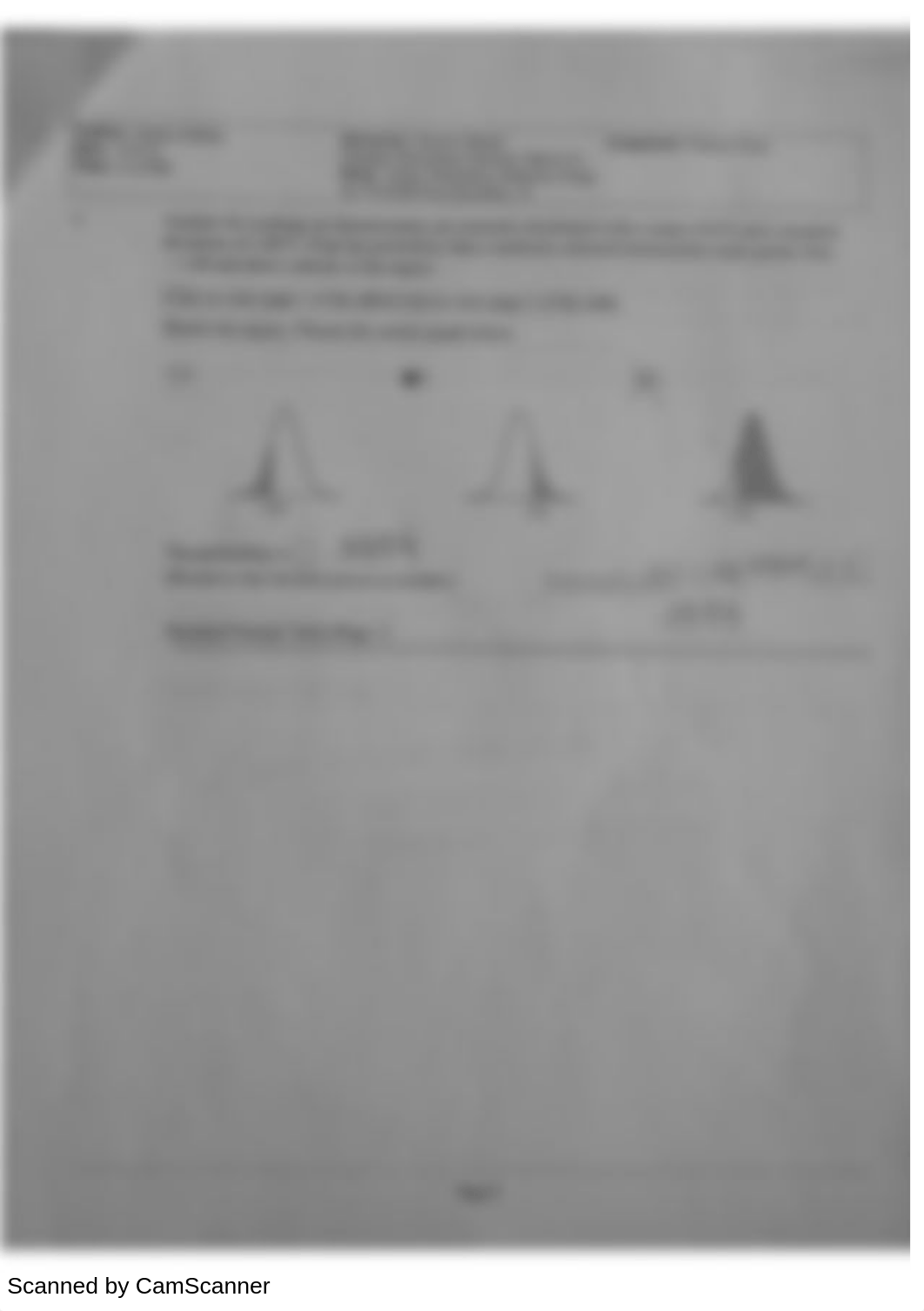 elementary statistics practice final exam_dkgxicu3gpw_page4