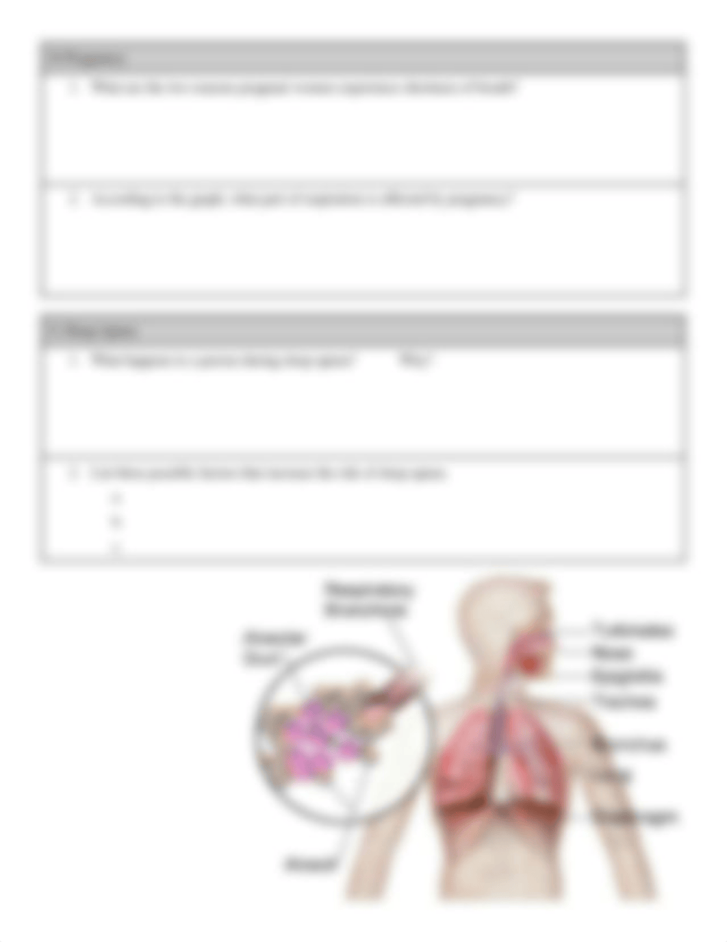 Respiratory Investigation.docx_dkh5atkk1op_page4