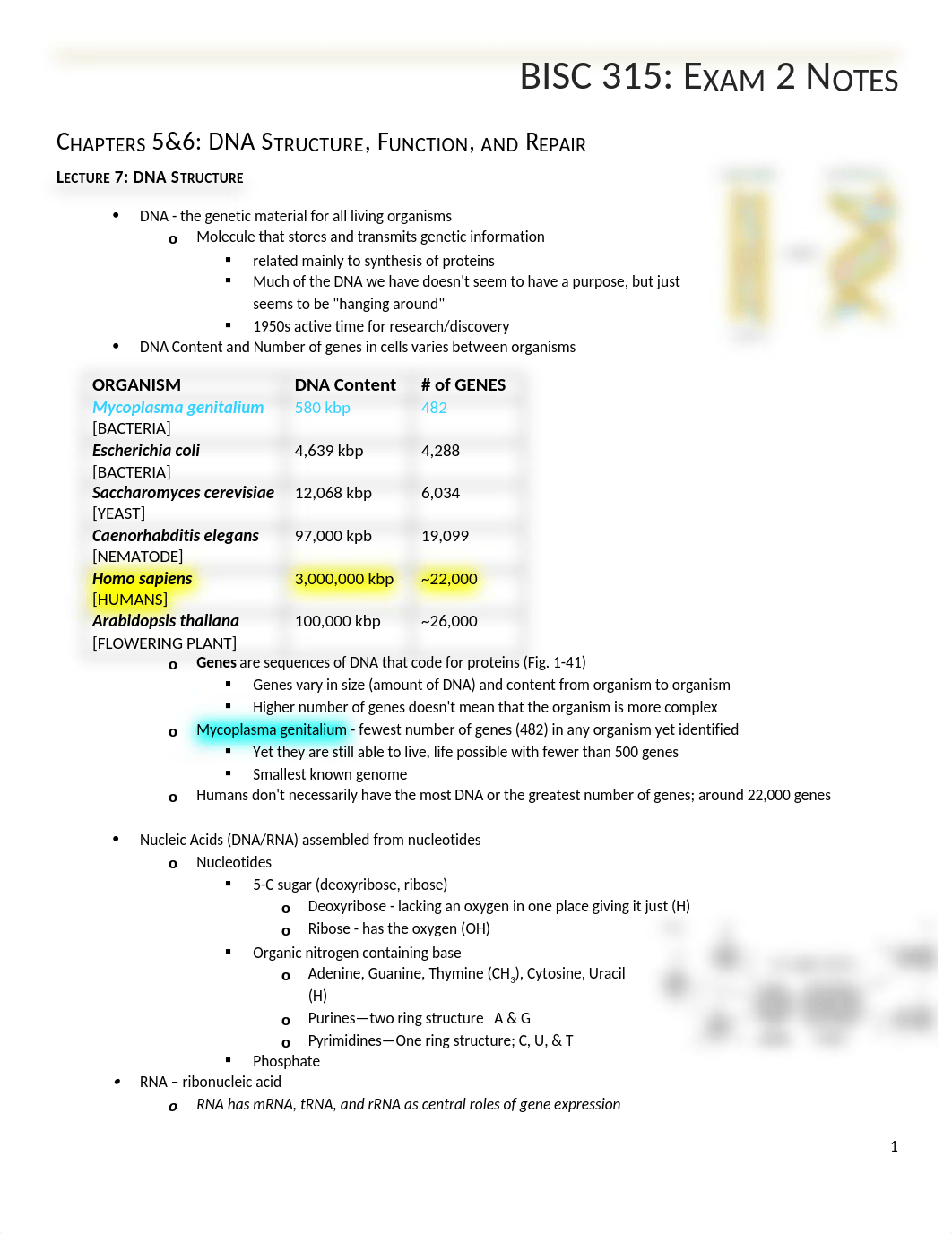 Exam 2 notes.docx_dkh5dmgyl1b_page1