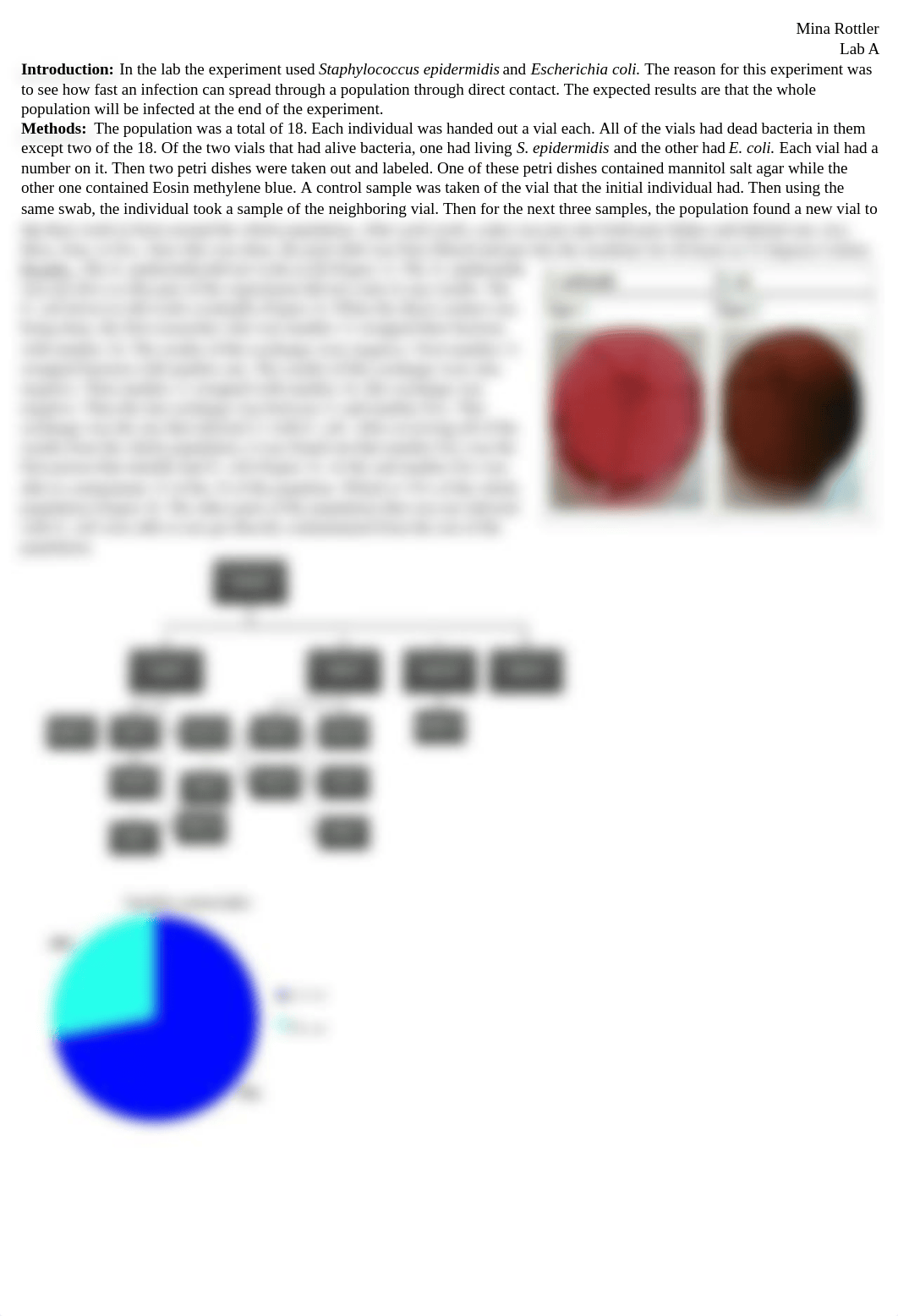 Micro lab report 5.docx_dkh6y5y7lt5_page1