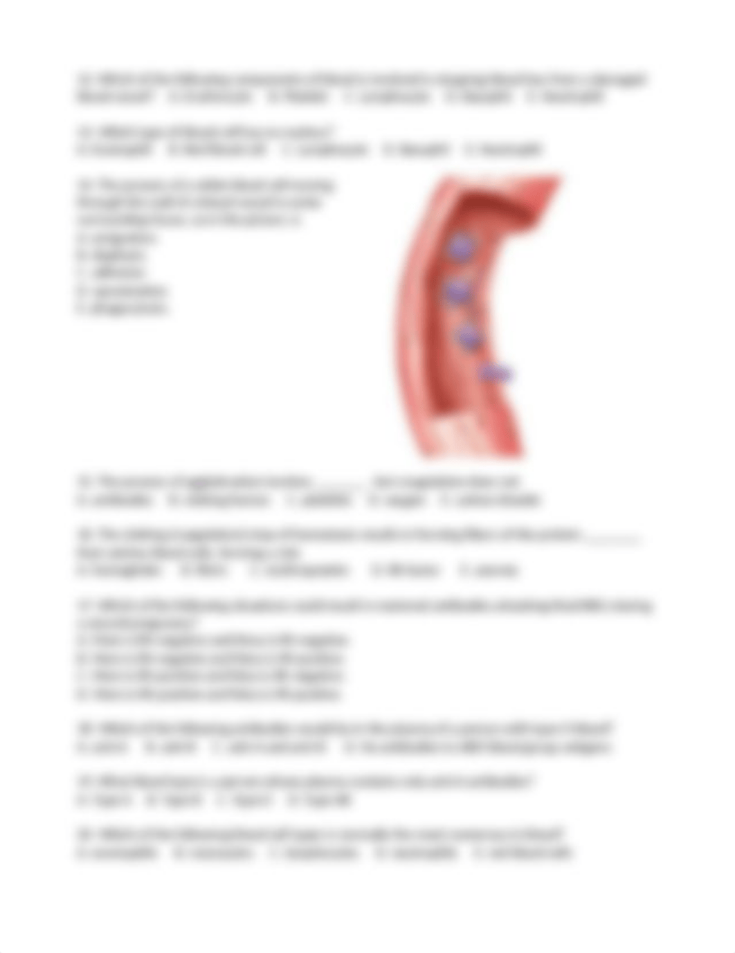 Ch 19 Sample Qs.docx_dkhbwi4wr9j_page2