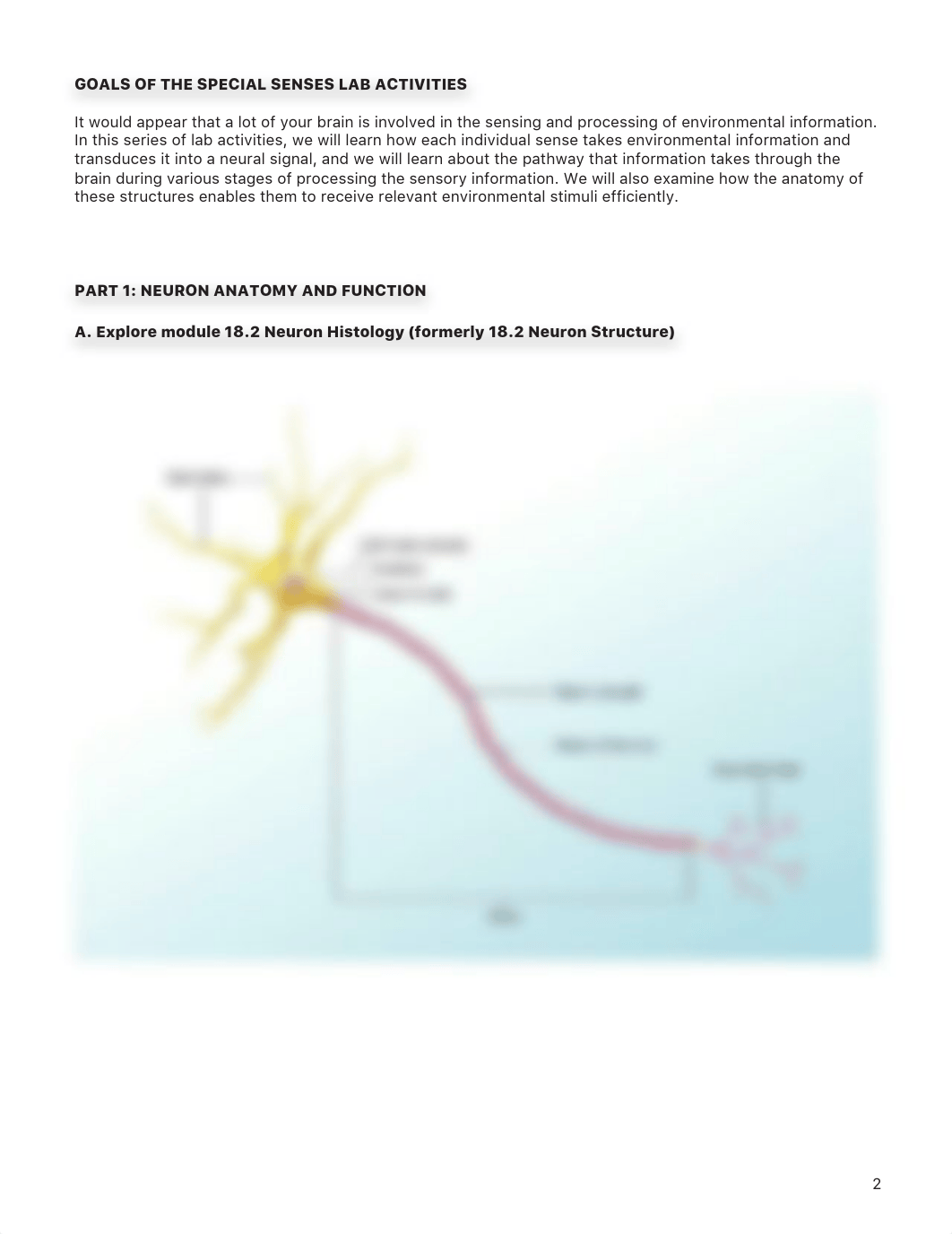 lab manual_senses primer_a%2Bp.pdf_dkhgoeksc9h_page2