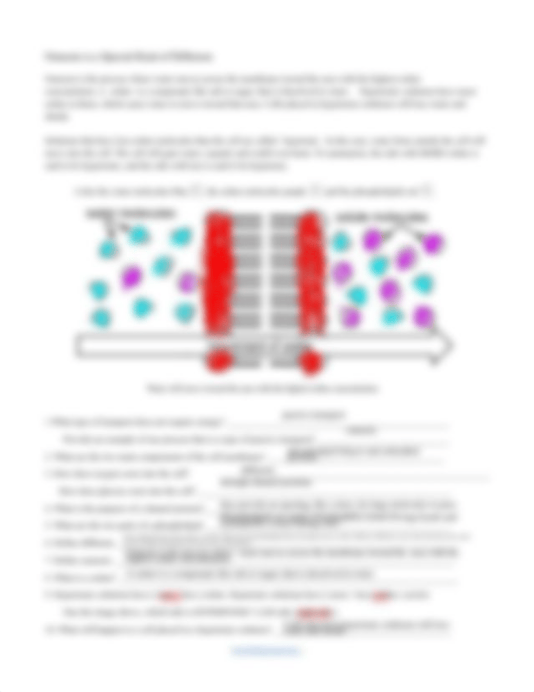 Tobin_Brant_-_cell_membrane_and_transport_coloring_dkhgsth5n22_page2