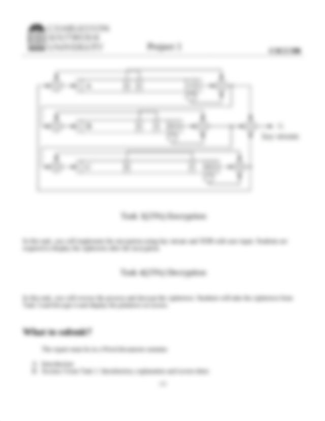 CSCI 590 Applied Cryptography Project 1 Trivium.pdf_dkhkbtsi96r_page2