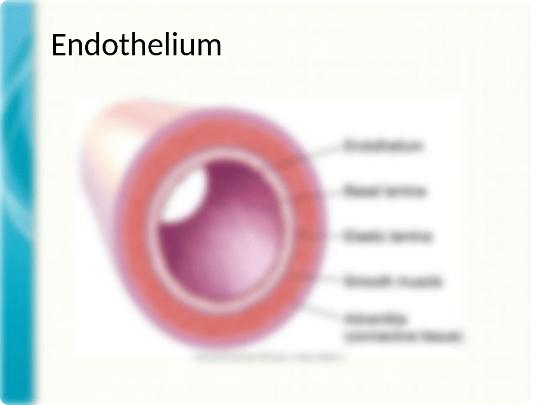 Pathophysiology Cardiac-1_dkhl1wdrikm_page5