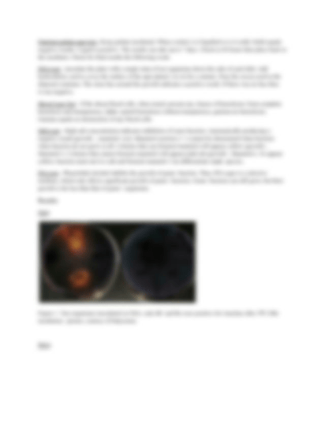 Lab 05-Differential Test I_Detection of Hydrolytic Enzymes.docx.pdf_dkhsythso0b_page3