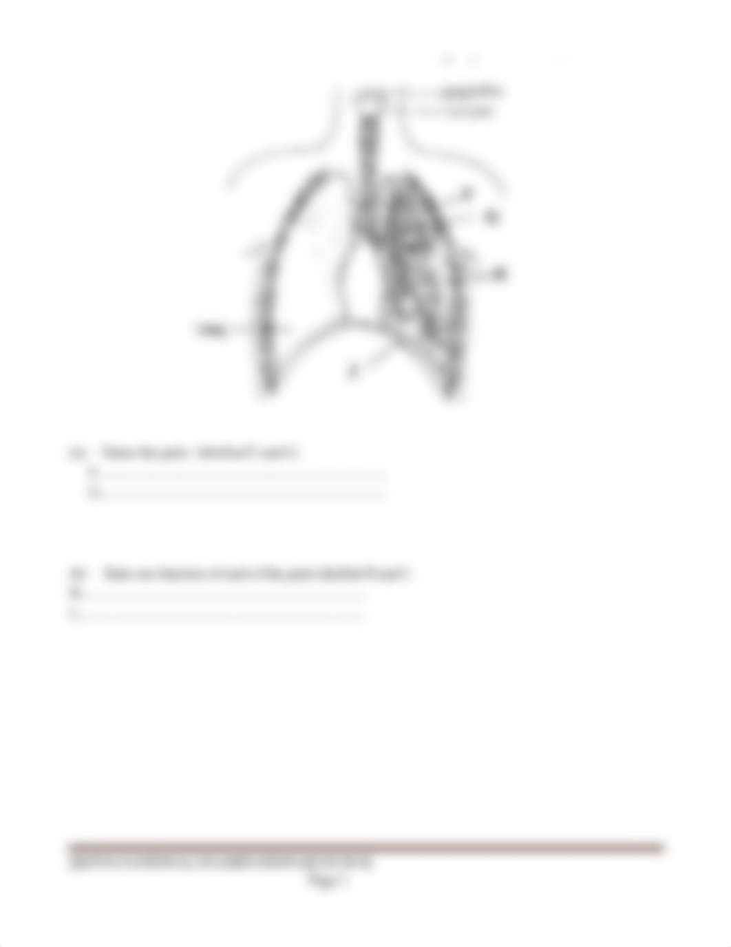 2012 KCSE BIOLOGY PAPER 1.docx_dkhxnu3lsu9_page3