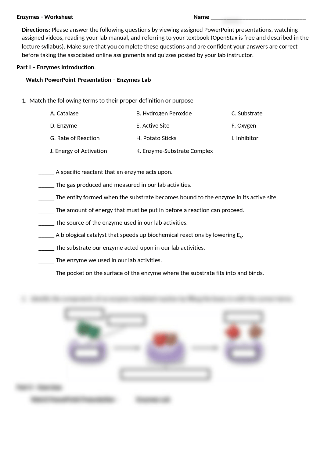 Enzymes Worksheet.docx_dki13b5xdux_page1