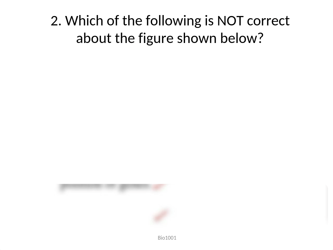 Review 3 - chp 8, 9 and 10- Answer Key.pptx_dki3jelohcd_page3